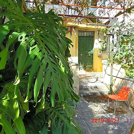 Hostel Ami's House Only For Women Dormer